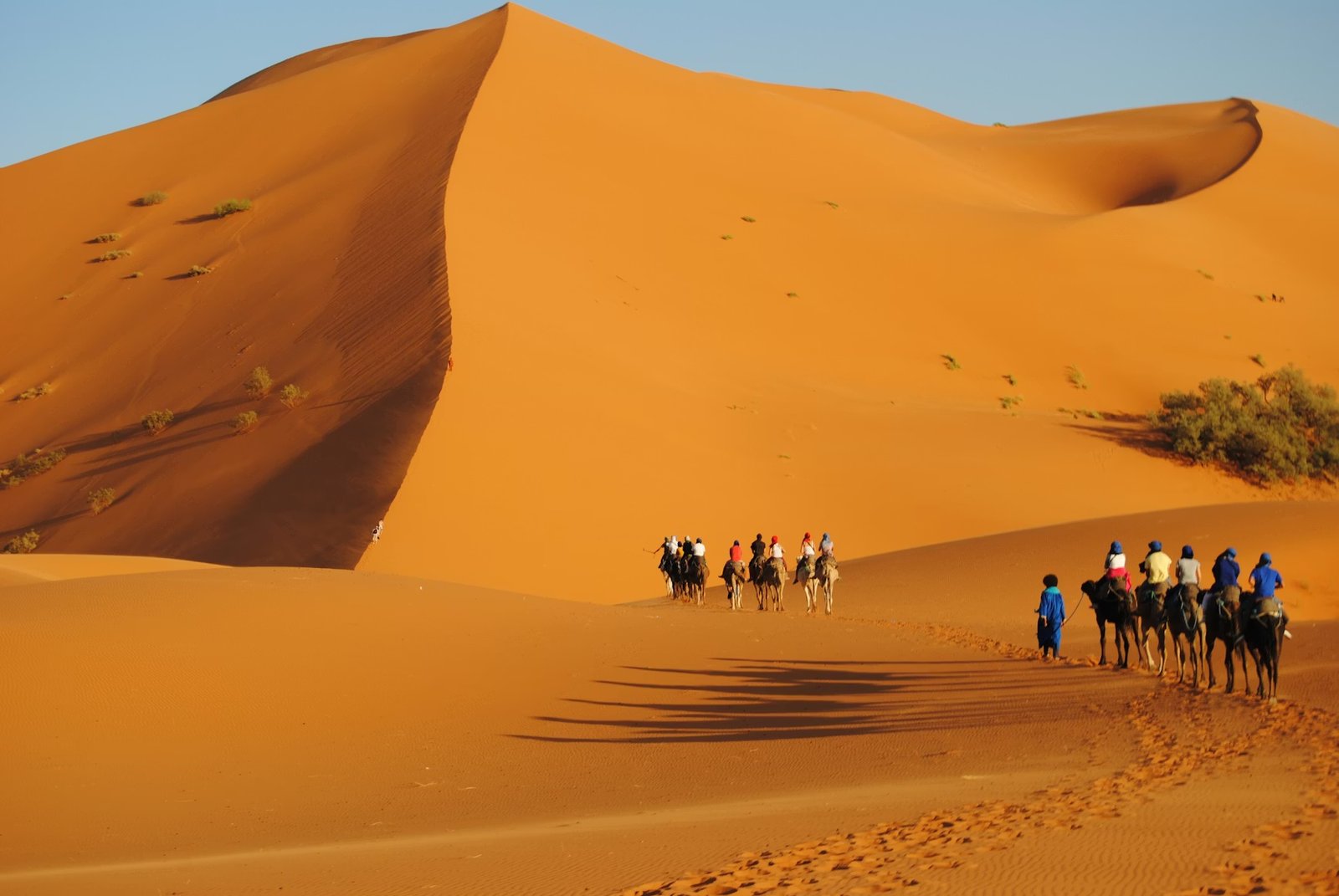 Désert marocain